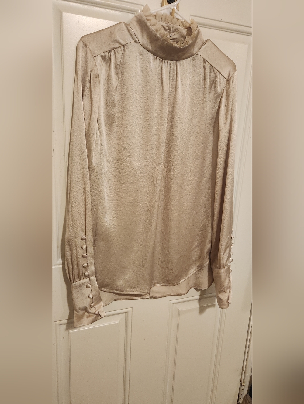 LENA LAROSE- Silky High-Neck Long Sleeve Blouse in  "DUSK"Champagne